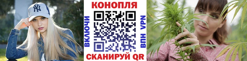 Бошки марихуана LSD WEED  Купить закладки  Бородино 